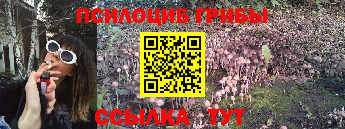 Псилоцибиновые грибы GOLDEN TEACHER  Псилоцибиновые грибы Magic Shrooms  Вход с VPN  Воронеж 